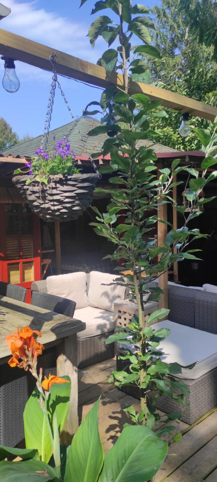"Tempat Senang" Chalet On The Beautiful Veluwe With Airco Sauna Bbq Jacuzzi Beamer And Dog Putten Exteriér fotografie